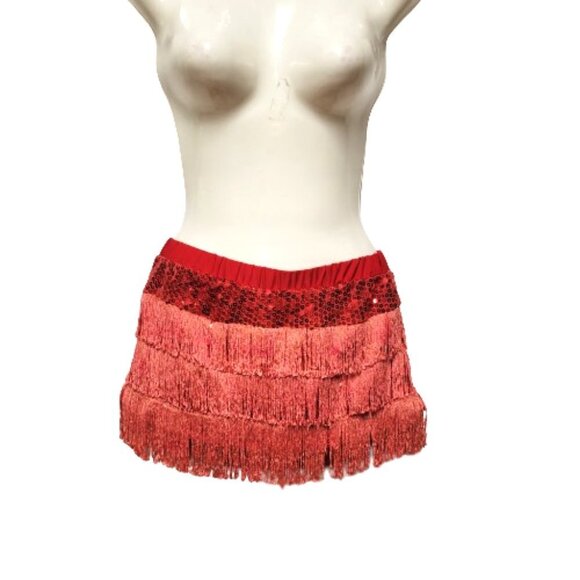 Sexy Mini Skirt and Top Silver Sequins Tassels Teens Youth Party Wear Bellydance - Picture 2 of 16